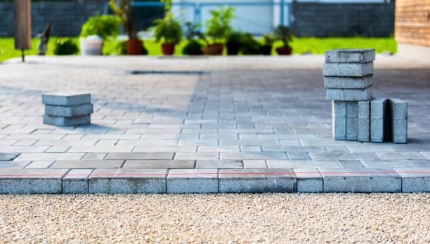 Professional Driveway Paving Services in Willows, CA